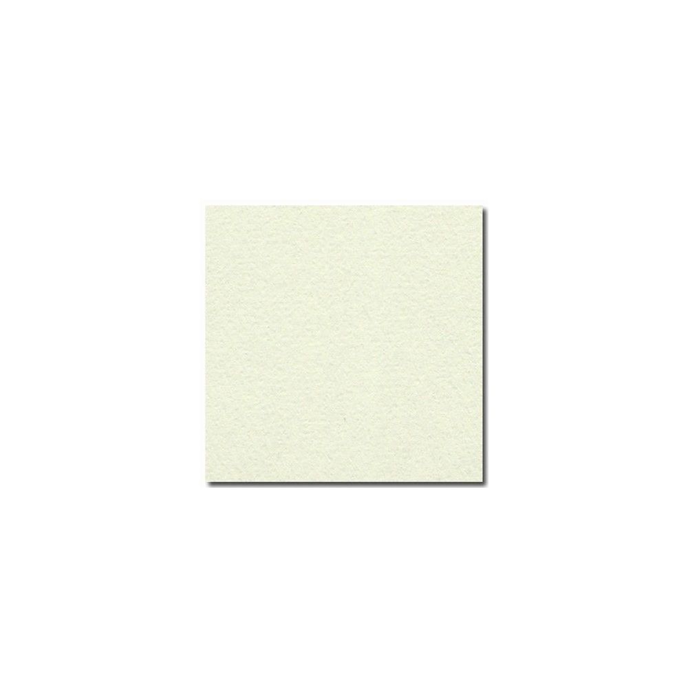 Feuille dessin 50x65cm 160g VERT TILLEUL (la feuille)  - Z
