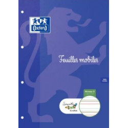 Feuillets mobiles DYS - 90gr - A4 Interligne 3mm - 100 pages BLANC