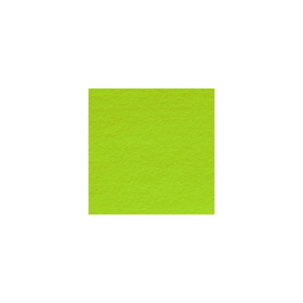 Feuille dessin 50x65cm 160g VERT AMANDE(la feuille) CLAIREF