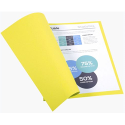 Chemise 24 x 32cm 170g par 100 JAUNE FOREVER Z