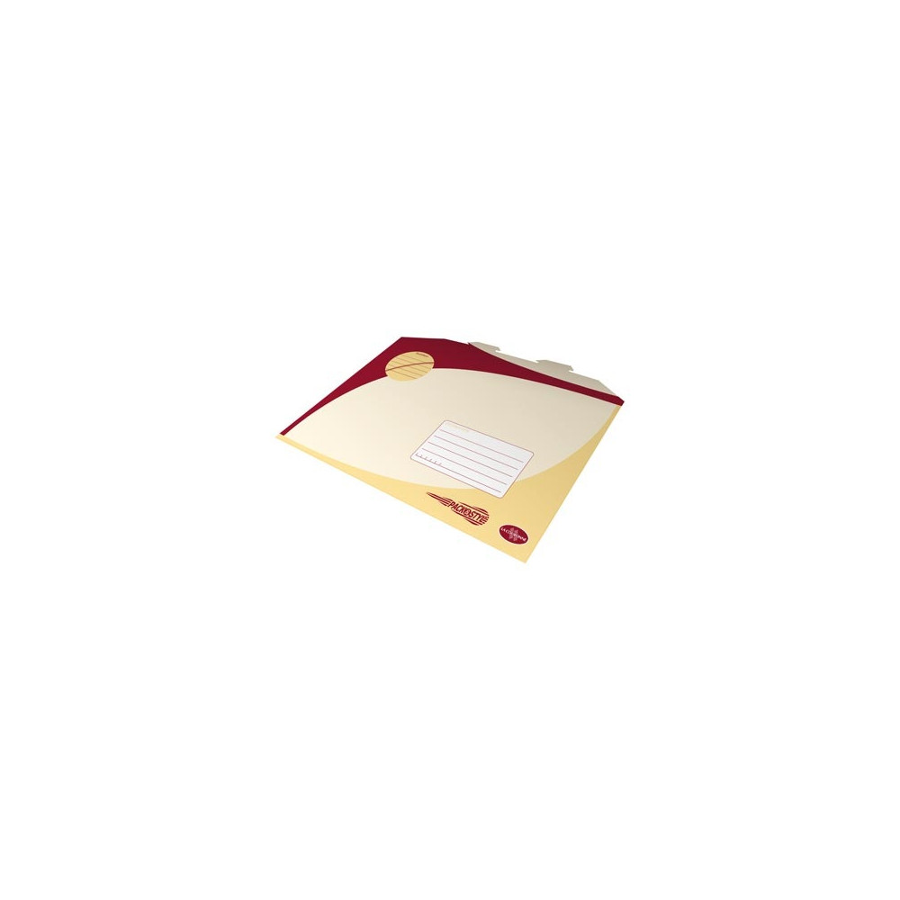Pochette LA COURONNE Pack & Styl 420 x 300mm (Par 2)**