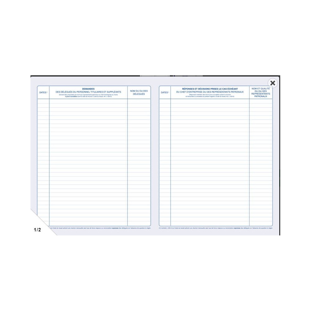 Registre Délégués du Personnel ELVE - 32 x 24cm - 40 pages //