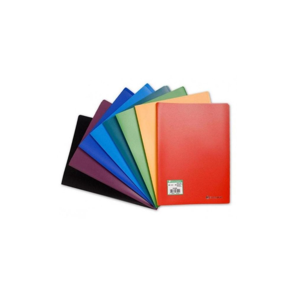 Protege Document PVC - Format A4 - 120 vues - BLEU