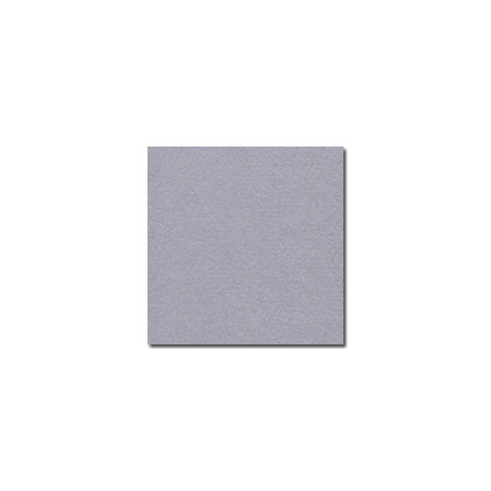 Feuille dessin 50x65cm 160g GRIS PALE (feuille) CLAIREFONTAINE