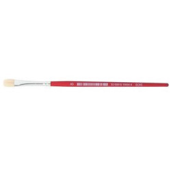 Brosse Plate Soie de porc N° 08 (Unité)