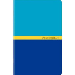 Carnet 11x17cm 5 x 5 96 p Piqûre 70g  