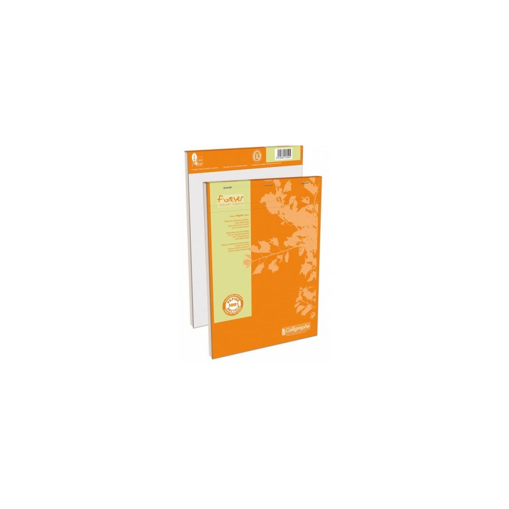 Bloc Bureau A5 5 x 5 - 200 p - 70g - Dét. Recyclé - Z Bloc Bureau A5 5 x 5 - 200 p - 70g - Dét. Recyclé - Z