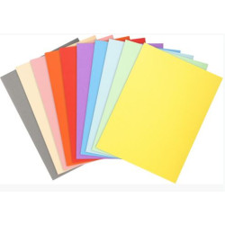 Chemise 24 x 32cm 170g EXACOMPTA par 100 COULEURS ASS. Pastel - Z
