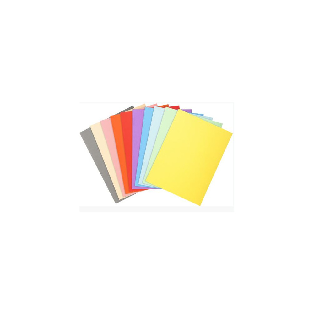 Chemise 24 x 32cm 170g EXACOMPTA par 100 COULEURS ASS. Pastel - Z