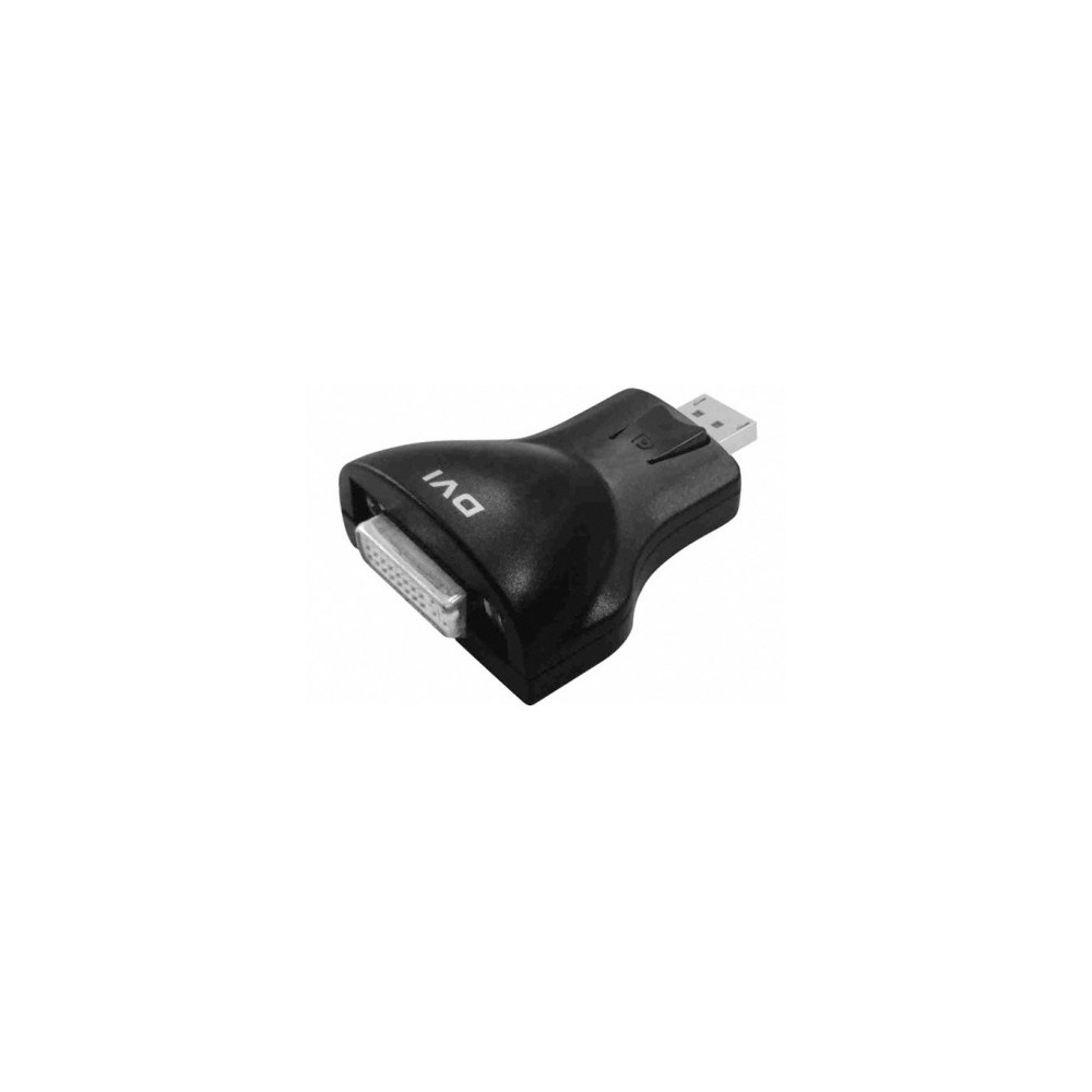 Convertisseur DisplayPort vers DVI D Convertisseur DisplayPort vers DVI D