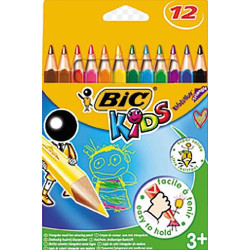 Crayon Couleur BIC EVOLUTION Recyclé  Triangle - Par 12 coul. //