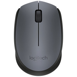 Souris sans fil LOGITECH M170 - Z