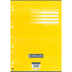 Feuillets mobiles - 80gr - A4 - Séyès - 100 pages BLANC CLAIREFONT.