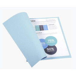 Chemise 24 x 32cm 170g EXACOMPTA par 100 BLEU CIEL Pastel - Z