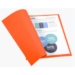 Chemise 24 x 32cm 170g EXACOMPTA par 100 ORANGE Pastel - Z