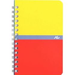 Carnet 9x14cm 5 x 5 100 p Spirale 70g  //